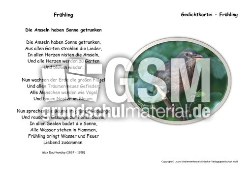 Die-Amseln-haben-Dauthendey.pdf